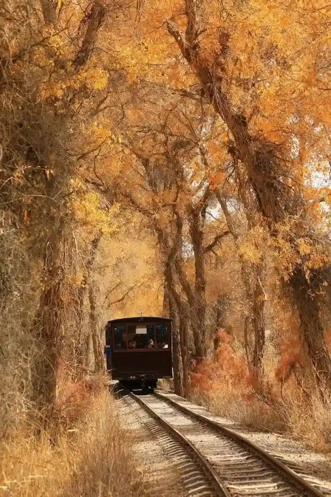 Jiuzhaigou Train in Autumn