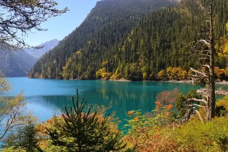 The beautiful scenery of Shuzheng Valley in Jiuzhaigou