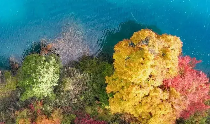 The beauty of autumn in Jiuzhaigou