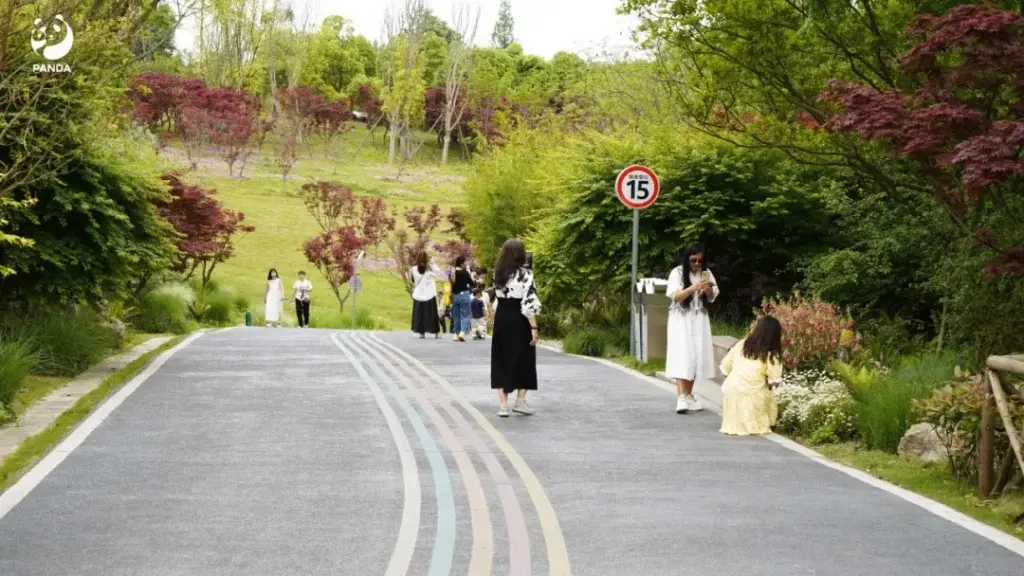 Trails in the Chengdu Panda Base