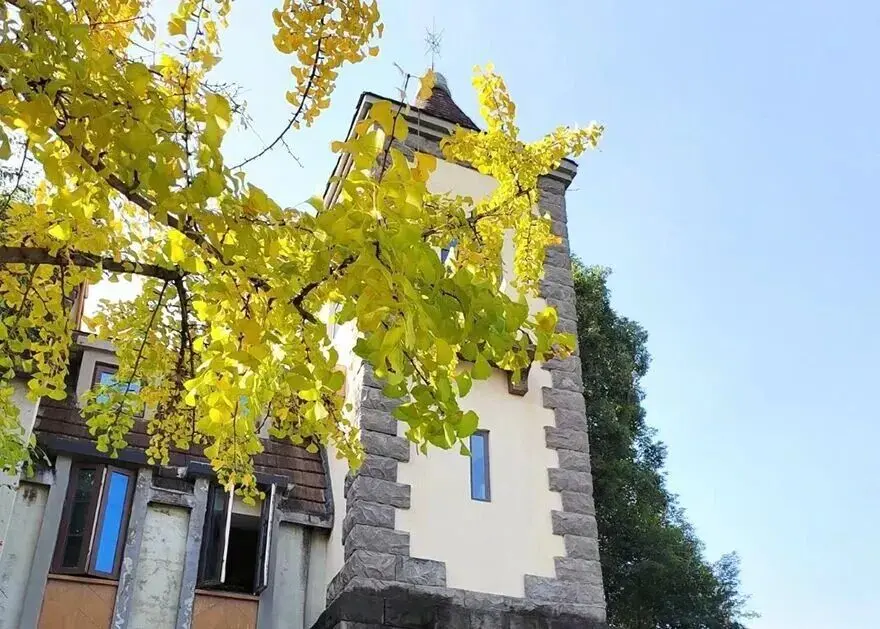 Architecture of Chengdu Nanhu Wetland Park