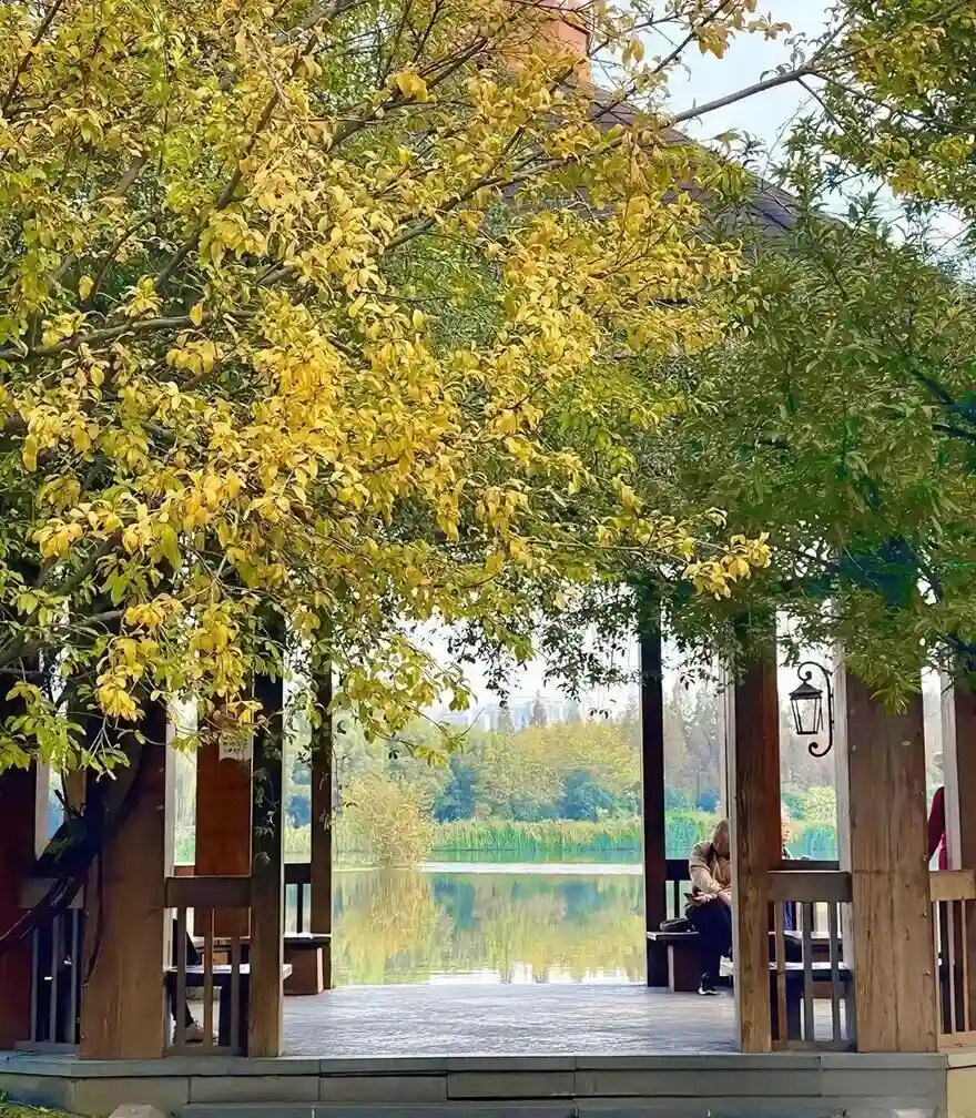 Chengdu Nanhu Wetland Park