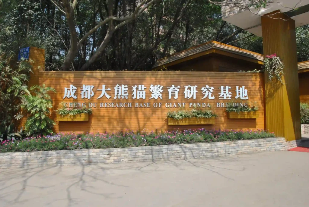 attractions in chengdu:Chengdu Research Base of Giant Panda Breeding