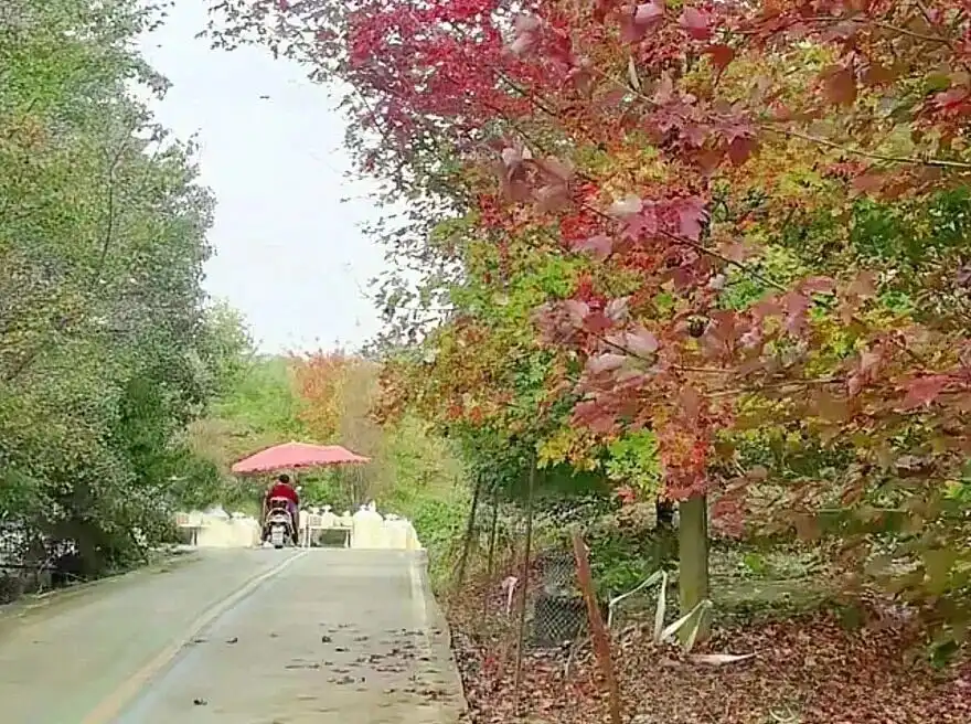 Roads in Hengshan Huahu Scenic Area