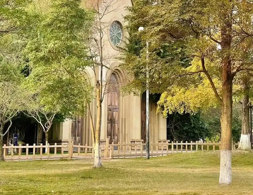 The lawn of Chengdu Nanhu Wetland Park