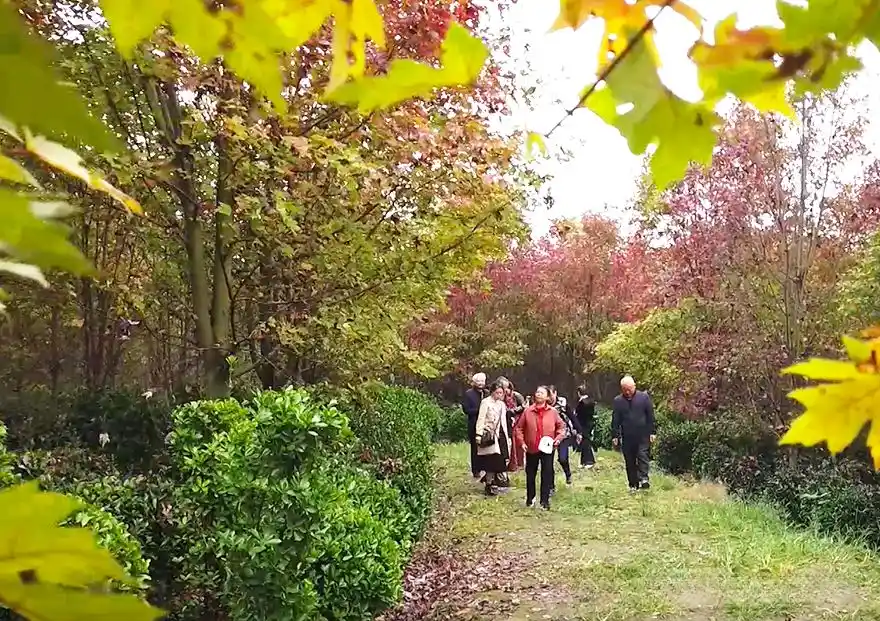 Tourists at Hengshan Huahu Scenic Area