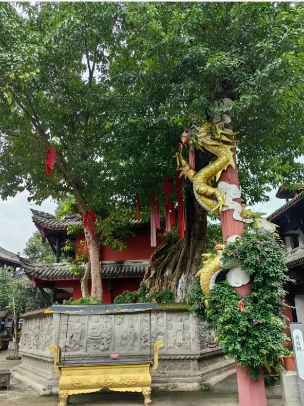 The large banyan tree in Gulong Temple, Huanglongxi Ancient Town