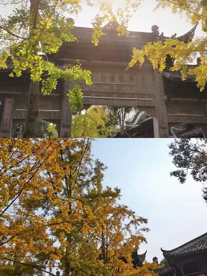 how to get to mount qingcheng from chengdu:Jiezi Ancient Town