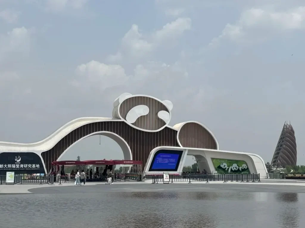 chengdu china panda tour:Chengdu Research Base of Giant Panda Breeding