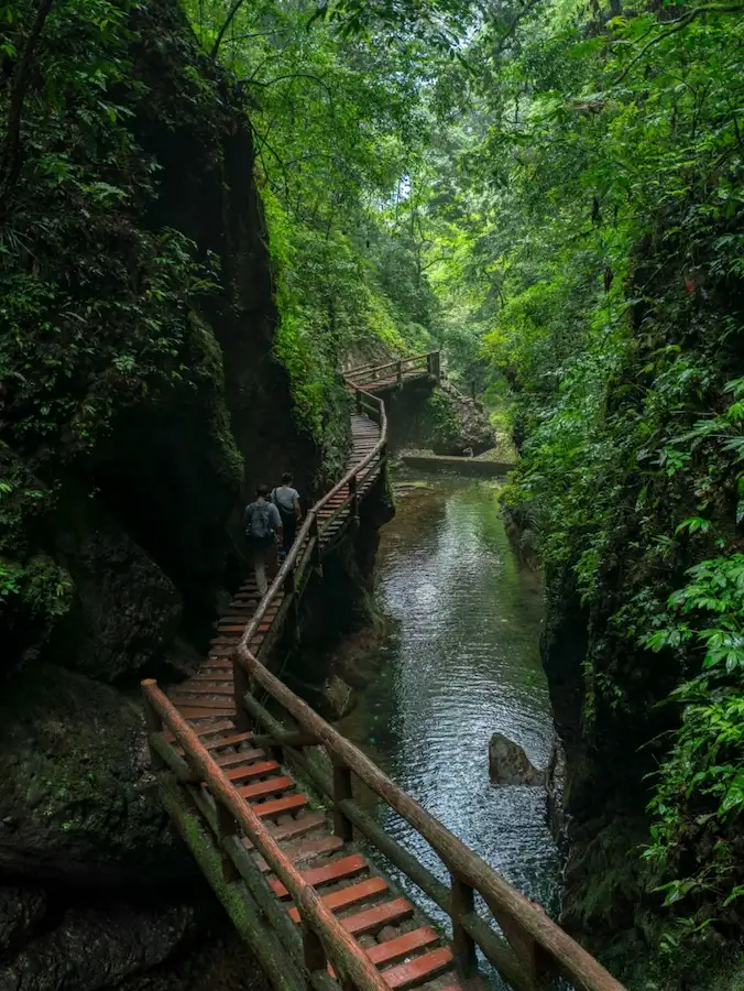 chengdu attractions list:Qingcheng Mountain