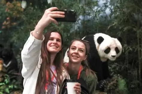 Traveler photographing pandas where to see pandas in China